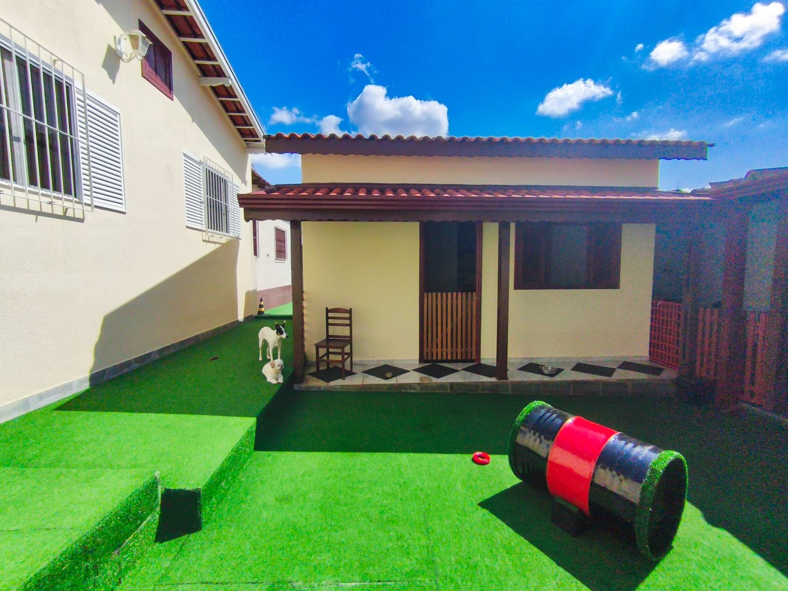 Pátio da Luli e Eu com pets brincando